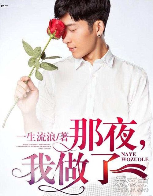 那夜我做了小说剧情介绍 那夜我做了小说在哪可以看