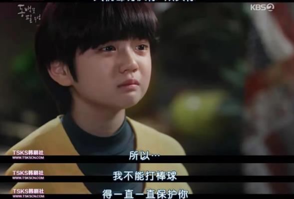 山茶花的花语是什么 韩剧山茶花开时名字寓意