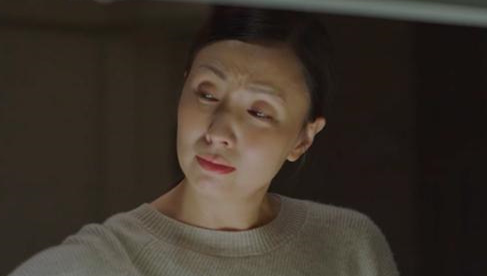 小欢喜宋倩乔卫东复婚是第几集 两人当年为什么离婚