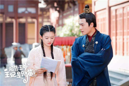 报告王爷王妃是只猫什么时候播出 报告王爷王妃是只猫主演都有谁