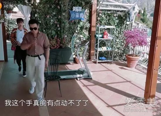 中餐厅杨紫手受伤是哪一期 中餐厅杨紫讲中式英语是哪期