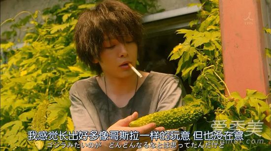 风平浪静的闲暇女主吃的苦瓜是什么品种 风平浪静的闲暇美食盘点