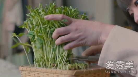 风平浪静的闲暇女主吃的苦瓜是什么品种 风平浪静的闲暇美食盘点