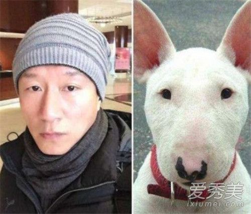 小欢喜牛头梗是第几集 小欢喜牛头梗什么意思