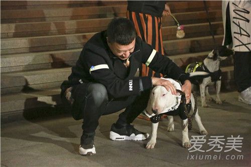 小欢喜牛头梗是第几集 小欢喜牛头梗什么意思