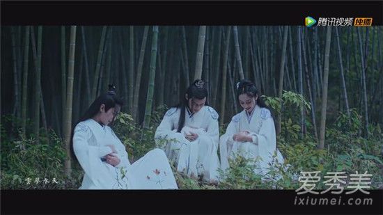 陈情令一声阿羡是什么歌 陈情令插曲可闻得一声阿羡是谁唱的