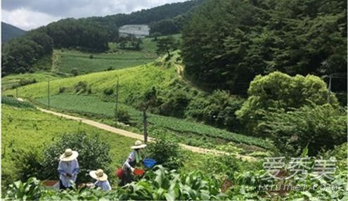 三时三餐女子篇在哪里拍的 ​三时三餐女子篇嘉宾都有谁