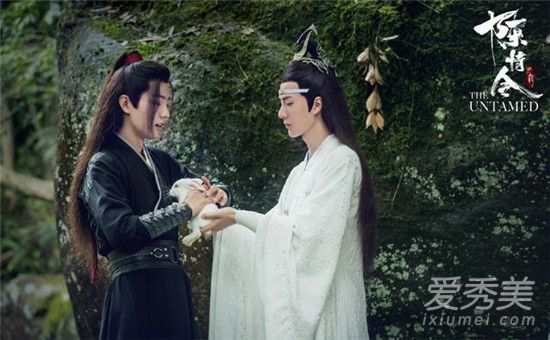陈情令蓝湛有没有当仙督 陈情令大结局蓝忘机和魏无羡有没有在一起