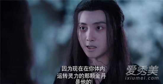 陈情令观音庙金光瑶在挖什么 陈情令江澄知道真相是第几集