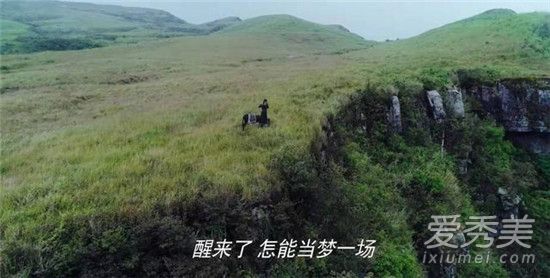 网络用语OOC是什么意思 陈情令大结局蓝二人设OOC是什么意思