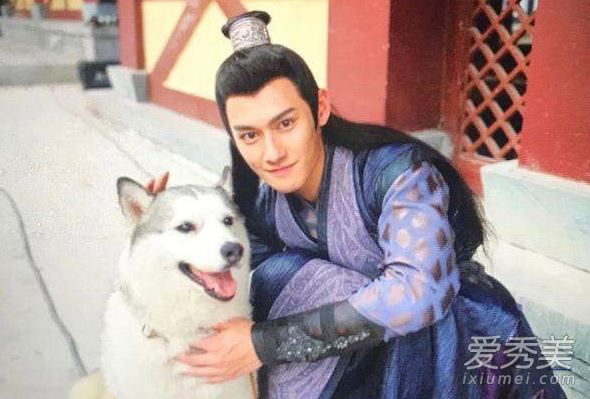 陈情令仙子是什么狗 陈情令仙子为什么是二哈