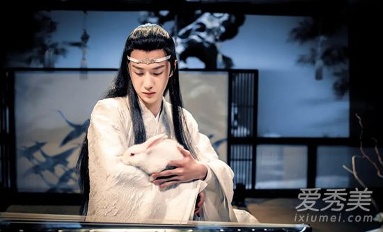 陈情令洗华是蓝家秘术吗 陈情令一共出现了几首曲子