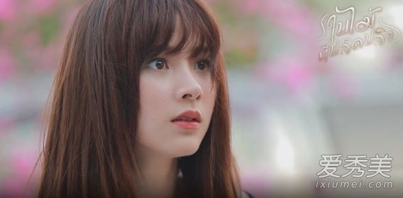 吹落的树叶医生喜欢女主吗 吹落的树叶医生和女主什么关系