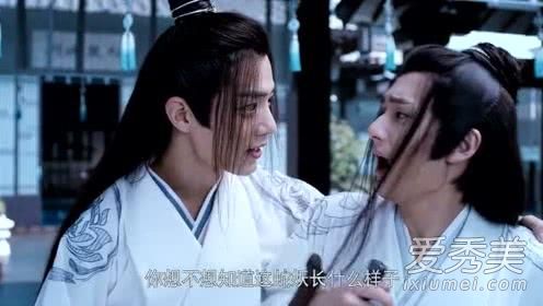 陈情令聂导、鹅爹是谁 陈情令聂导对魏无羡是什么感情
