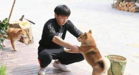 向往的生活抓蝴蝶游戏怎么玩 向往的生活抓蝴蝶游戏规则玩法