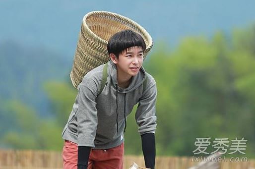 向往的生活抓蝴蝶游戏怎么玩 向往的生活抓蝴蝶游戏规则玩法