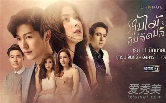 吹落的树叶第八集什么时候可以看