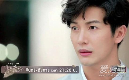 吹落的树叶第八集什么时候可以看