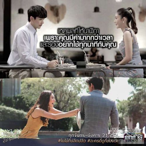 吹落的树叶尖叫鸡是谁 吹落的树叶姑姑为什么叫尖叫鸡