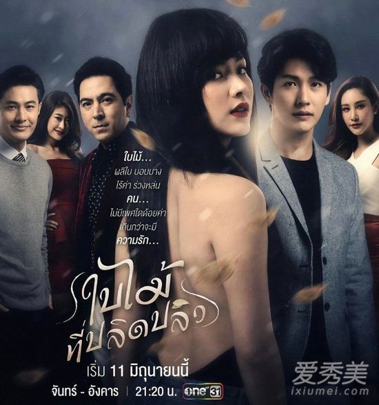 吹落的树叶直播有中文翻译吗 吹落的树叶直播在哪看