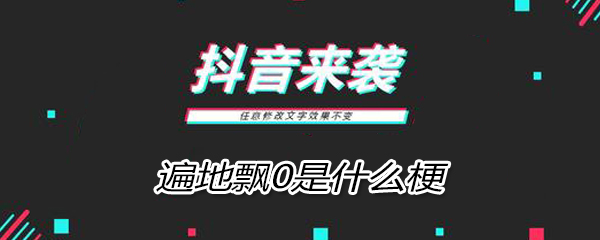 遍地飘零什么意思 遍地飘0无1无靠啥意思
