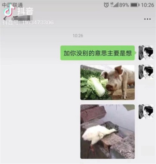 抖音加你没别的意思主要是想原图