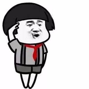 朋友圈升国旗表情包分享 抖音升国旗表情包全套