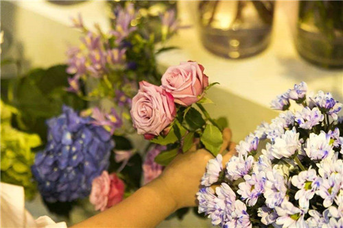花店不开了花继续开是什么梗 花店不开了花继续开出处