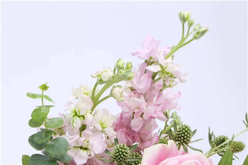 花店不开了花继续开是什么梗 花店不开了花继续开出处