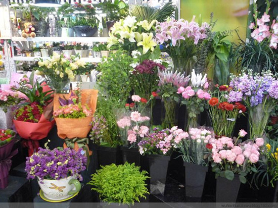 花店不开了花继续开什么意思 花店不开了花继续开出处哪里