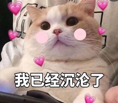 饭圈用语多担是什么意思 饭圈的泥塑什么意思