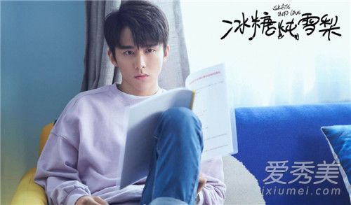 冰糖炖雪梨主演都有谁 冰糖炖雪梨什么时候播出