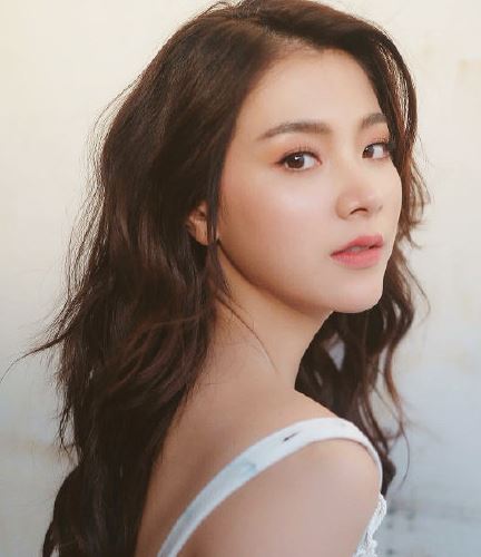 泰剧吹落的树叶小说叫什么 吹落的树叶原版小说哪里有