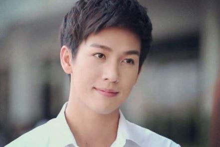 吹落的树叶男主是谁演的 吹落的树叶男主演员个人资料介绍