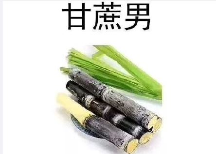 甘蔗式恋爱是什么意思 甘蔗式恋爱什么梗
