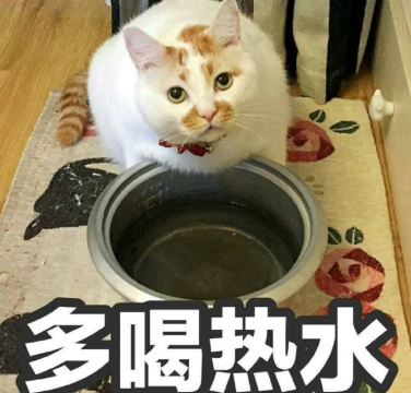 嘴炮式关心是什么意思 嘴炮式关心是什么梗