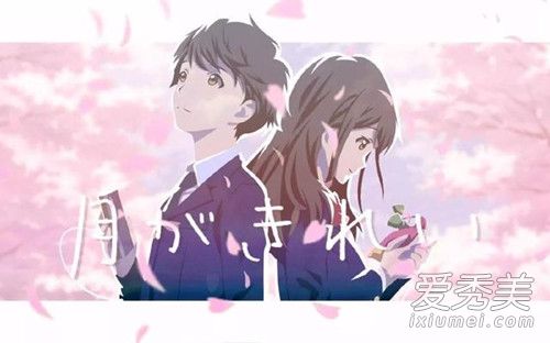 今晚月色真美最佳答复 今晚月色真美下一句怎么回答