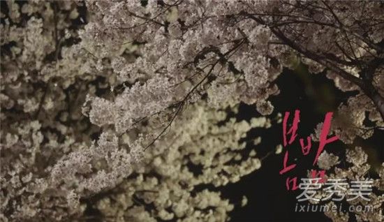 春夜13-14集剧情预告 韩剧春夜哪里可以看直播