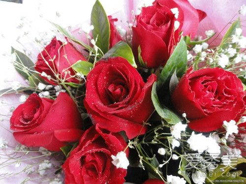 2019年情人节送什么花给老婆 情人节送花都送多少