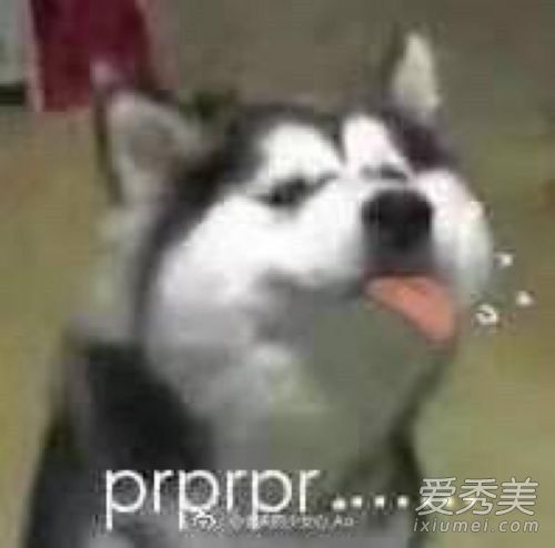 网络语词prprpr是什么意思 prprpr什么梗