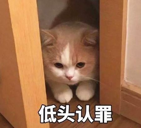 996是什么意思 996是什么梗