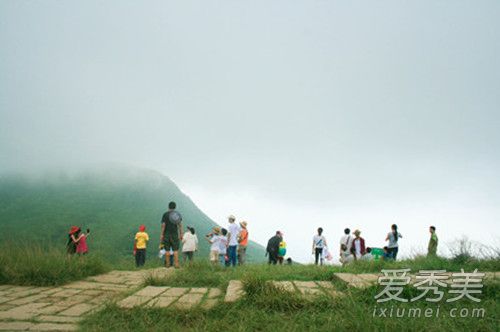 抖音上加我养个草是什么意思 养草什么梗