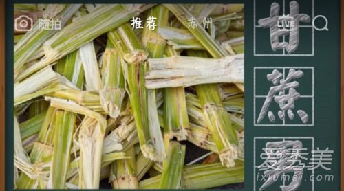 抖音甘蔗男是什么意思 甘蔗男是什么梗