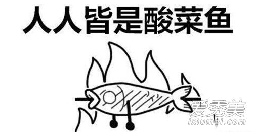 抖音人人皆是酸菜鱼是什么意思 抖音酸菜鱼是什么梗