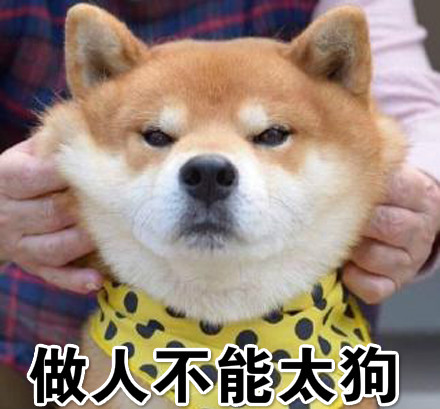 很狗是什么意思 很够是什么梗
