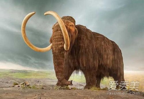 哥斯拉2开头出生的怪兽是谁 哥斯拉2:怪兽之王里面一共有几只怪兽