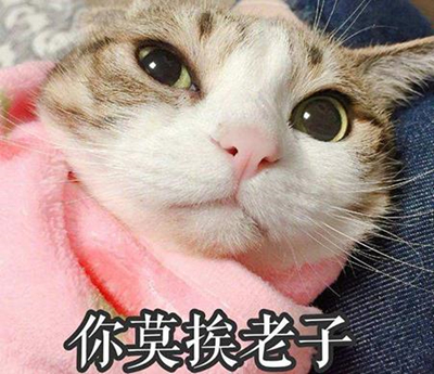 莫挨老子是什么意思 莫挨老子是什么梗