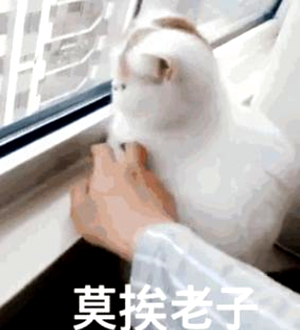 莫挨老子是什么意思 莫挨老子是什么梗