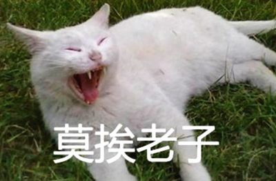 莫挨老子是什么意思 莫挨老子是什么梗