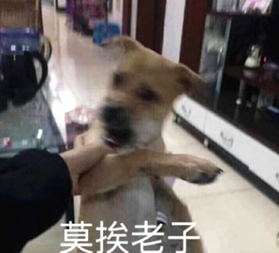 莫挨老子是什么意思 莫挨老子是什么梗